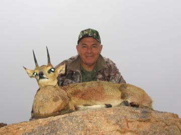 Trophy Klipspringer