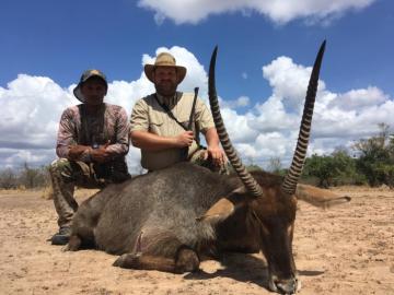 A nice Selous Reserve Waterbuck