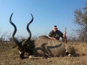 Long Distance kudu bull trophy