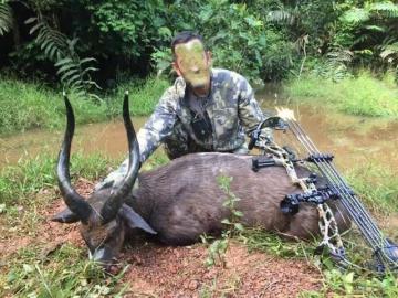 Dwarf Buffalo Hunt in Cameroon 11