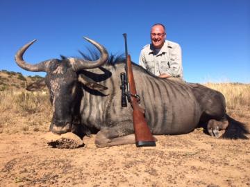 Free State Blue Wildebeest