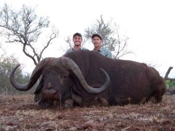 South Africa Buffalo Hunt 14