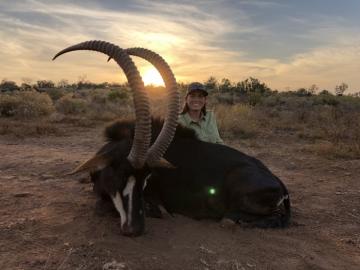 Hunt Sable in South Africa 7