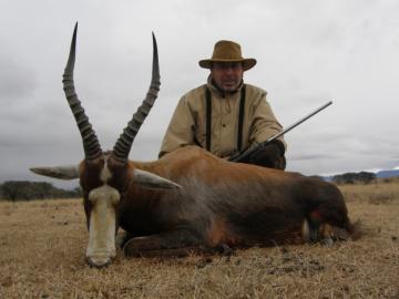 Nice blesbuck trophy