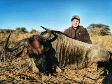 Introductory Hunting Safari Blue Wildebeest