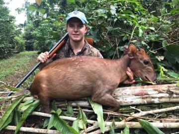 Duiker taken in Cameroon's Rain Forest 13