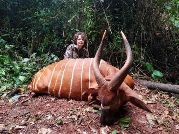 Trophy Bongo Hunt in Cameroon's Rain Forest 3