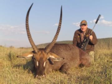 Big trophy waterbuck