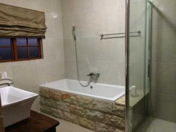 African Lion Cancellation Hunt 6