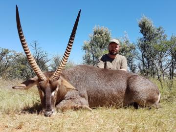 Big Waterbuck with Thick Bases