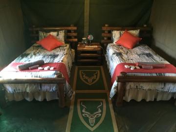 Tented Safari Camp Beds