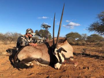 Trophy Bow hunted Oryx
