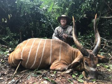 Forest Elephant taken in Cameroon's Rain Forest 10