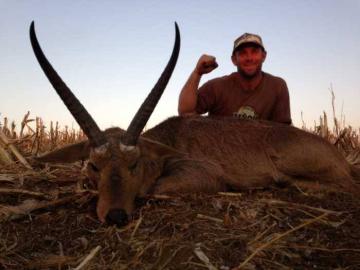 Free-Range Reedbuck Slam hunting Safari in Kwazulu-Natal 3