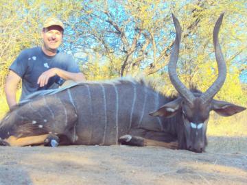 Limpopo Nyala Trophy