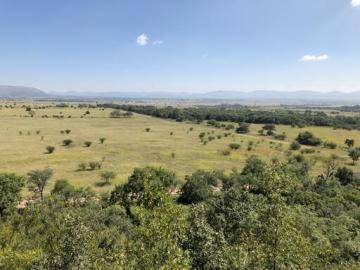 Typical long range shooting savanna