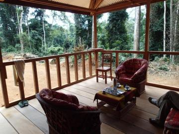 Lodge Deck 2 taken in Cameroon's Rain Forest 18