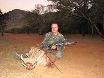 Warthog with chipped tusk