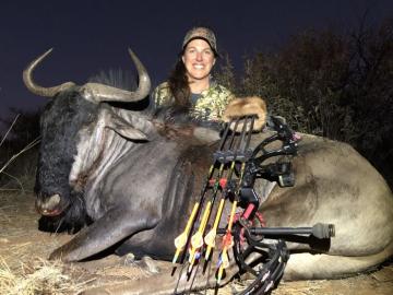 Blue Wildebeest with a bow in Namibia