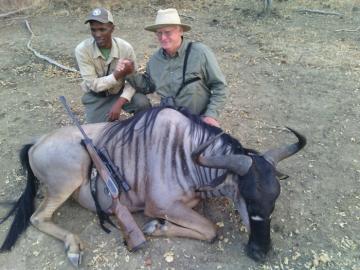 Selous Reserve Nyassa Wildebeest trophy