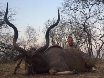 Nice Trophy Kudu