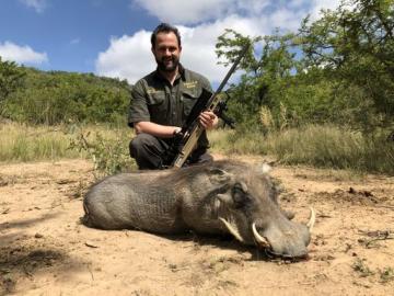 Tented camp warthog trophy