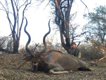 Huge kudu trophy