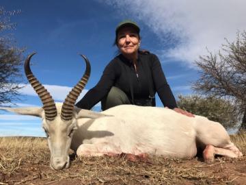 Great White Springbuck