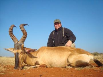 Red Hartebeest Trophy 2