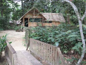 Hunt Sitatunga in Cameroon 16