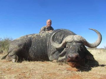 South Africa Buffalo Hunt 15
