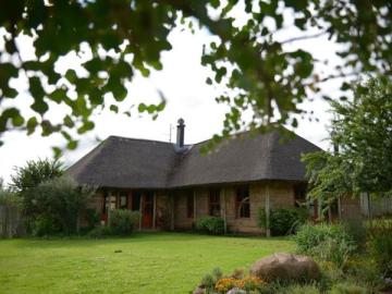 Hunt Cape Buffalo in South Africa 15
