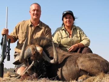 Introductory Hunting Safari Black Wildebeest Trophy