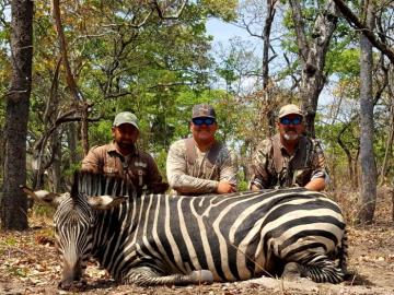 Trophy zebra shot in Rungwa