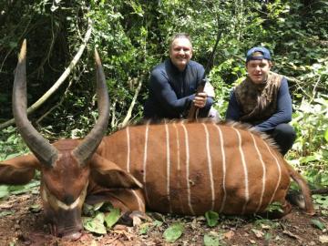 Trophy Bongo Hunt in Cameroon's Rain Forest 8