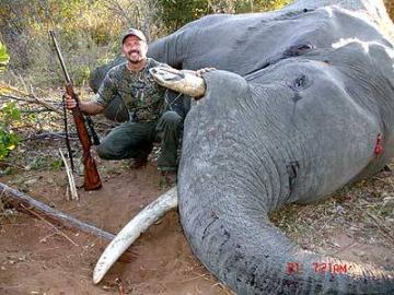 ELEPHANT HUNT IN NAMIBIA 1