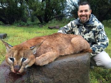 3 Day Caracal and Serval Hunting Safari In Kwazulu-Natal 5