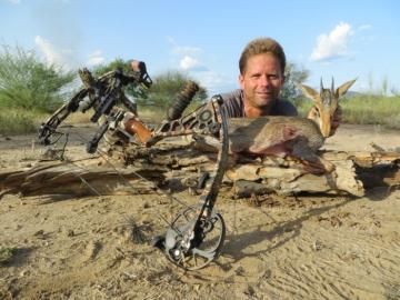 Archery Gurnther's Dik-Dik