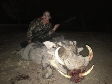 Giant warthog trophy