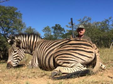 Big Zebra trophy
