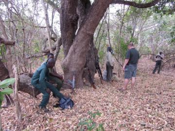 Taking a break while leopard hunting