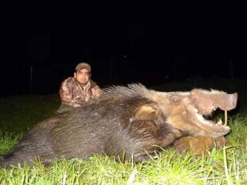 Free-Range Reedbuck Slam hunting Safari in Kwazulu-Natal 9