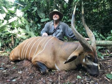 Sitatunga taken in Cameroon's Rain Forest 9