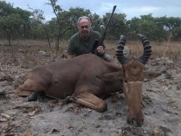 Cameroon Savanna Western Hartebeest