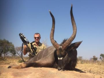 Trophy Nyala