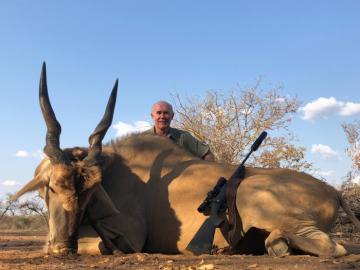 Massive trophy eland