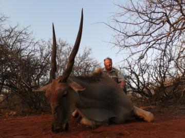 Introductory Hunting Safari Trophy Eland