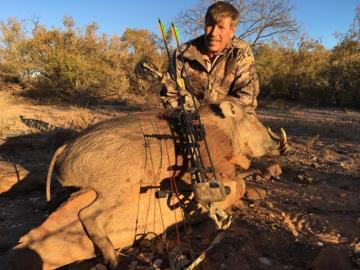 Great warthog cull trophy