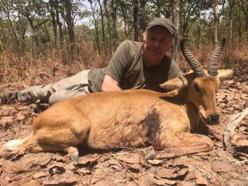 Savanna cob from Cameroon