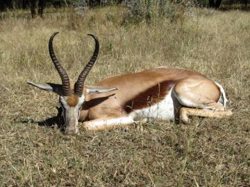 Namibia 6 / Day 5 Animal Safari Package 6
